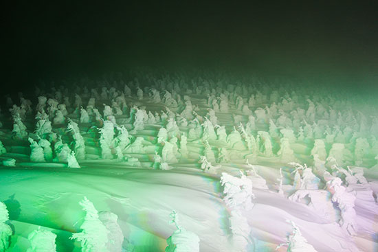 Zao Night Illuminated Juhyo Snow Monsters